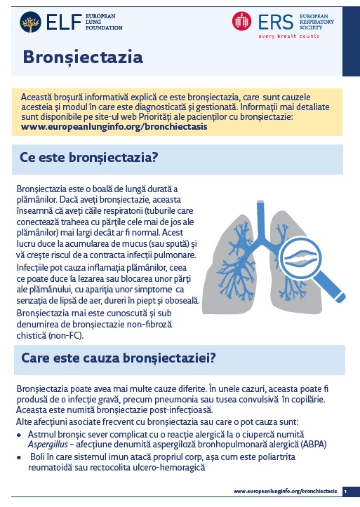 Image of factsheet in Romanian